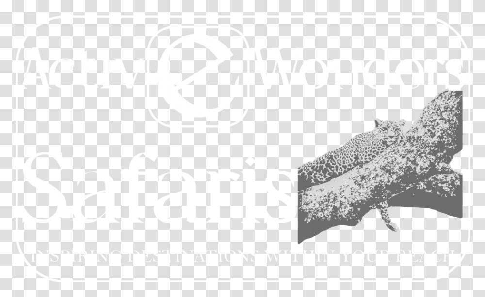 Whale Shark, Alphabet, Weapon, Word Transparent Png