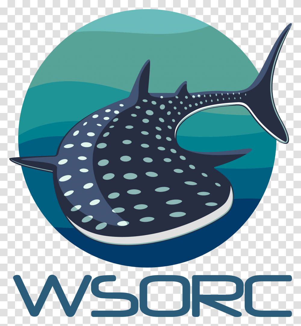 Whale Shark Vector, Fish, Animal, Sea Life, Car Transparent Png