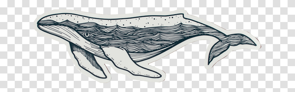 Whale Stickers, Animal, Fish, Sea Life, Mammal Transparent Png