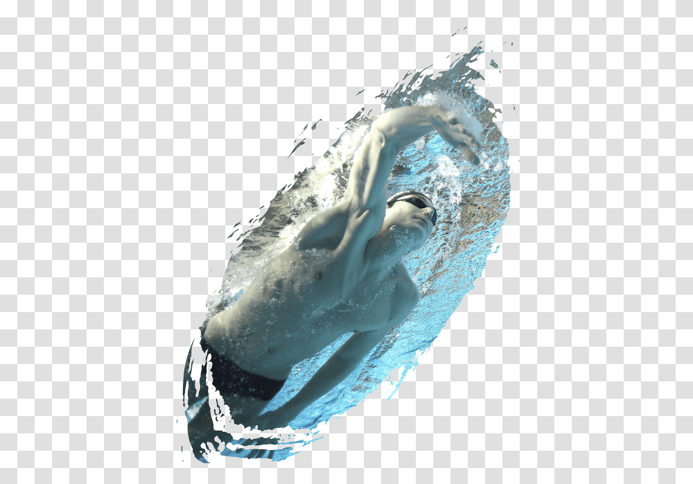Whale, Swimming, Sport, Water, Sports Transparent Png