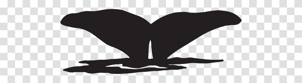 Whale Tail Decal, Mustache, Goggles, Accessories, Accessory Transparent Png