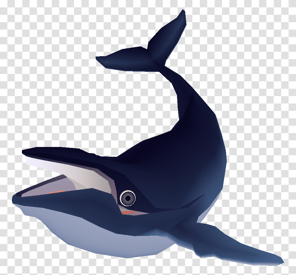 Whale - Random Dragon Dumb Whale, Dolphin, Mammal, Sea Life, Animal Transparent Png