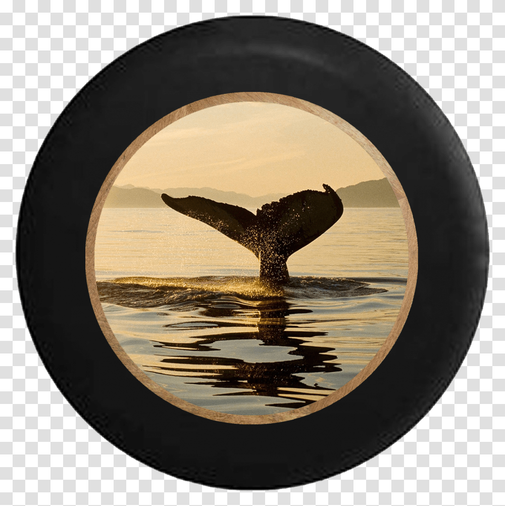 Whale Watching Tail Going Into The Ocean Jeep Camper Fish, Mammal, Animal, Sea Life, Bird Transparent Png
