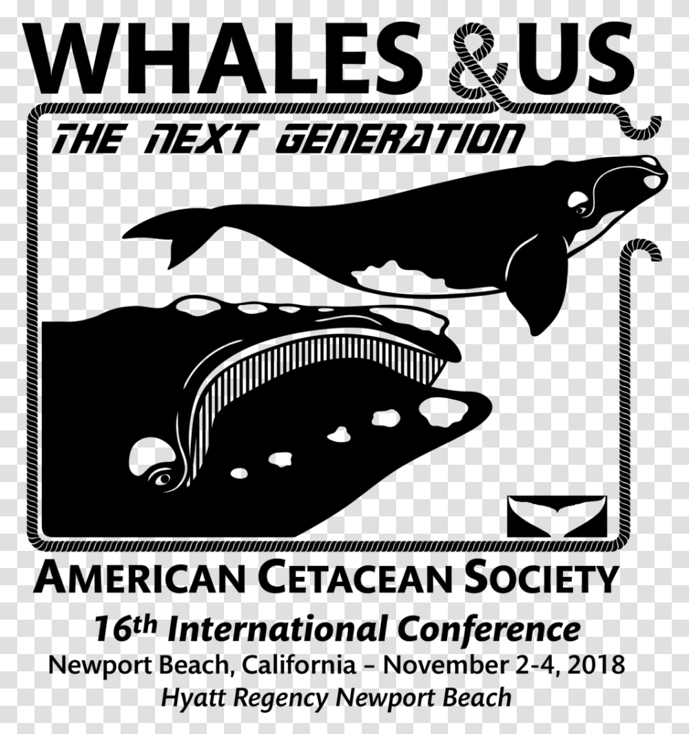 Whales And Us American Cetacean Society, Gray, World Of Warcraft Transparent Png