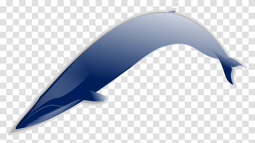 Whales Dolphins And Porpoisesfishdolphin Curev Blue, Sea Life, Animal, Mammal Transparent Png