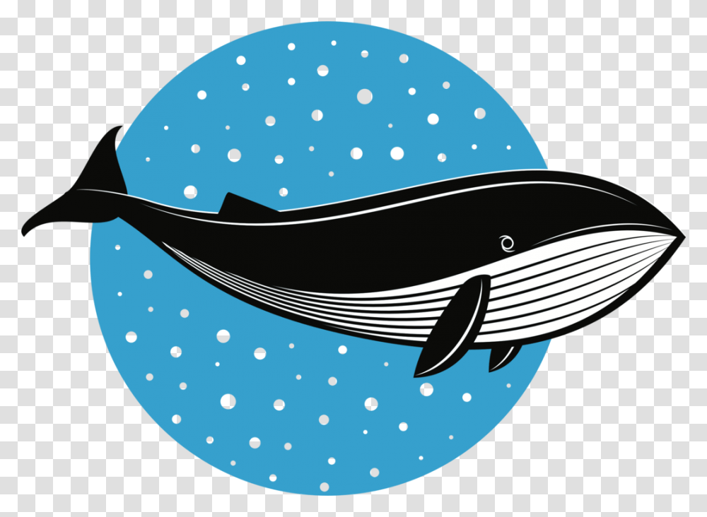 Whales Fish Logo Dolphin Drawing Cc0 Ikan Paus Clipart, Sea Life, Animal, Mammal, Helmet Transparent Png