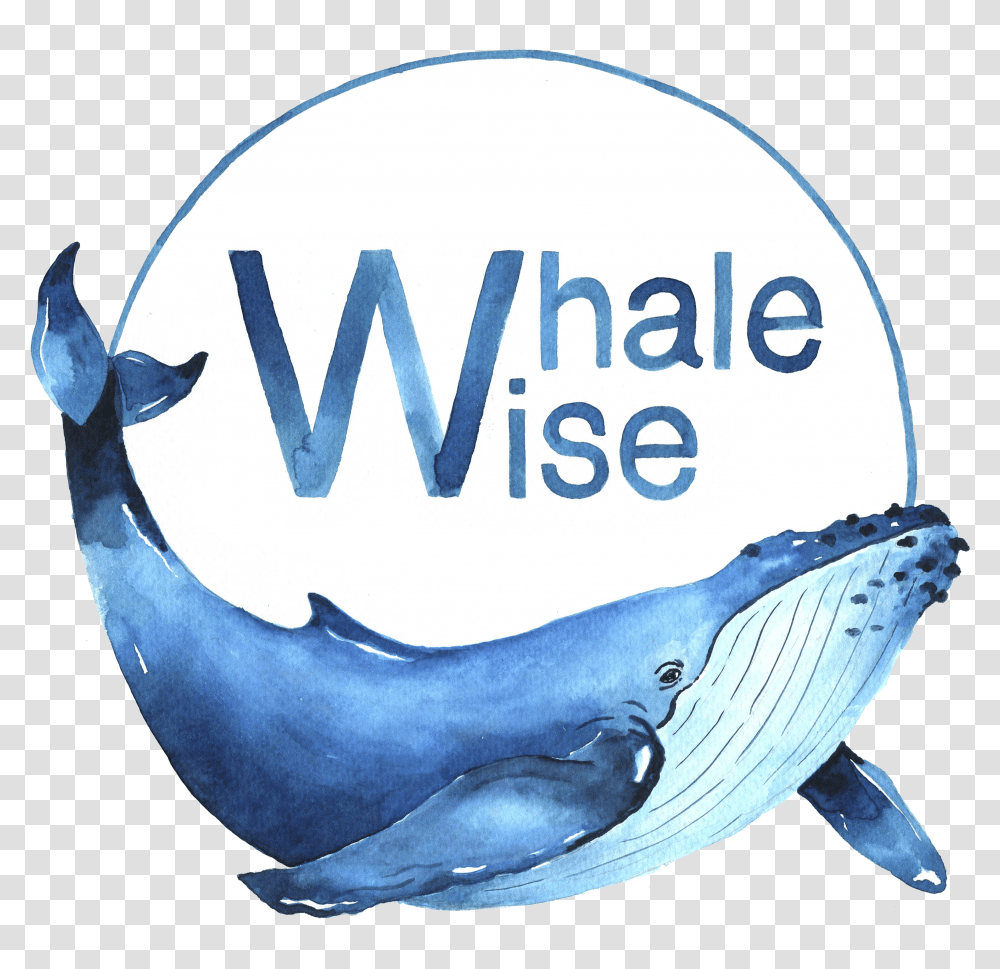 Whales Transparent Png