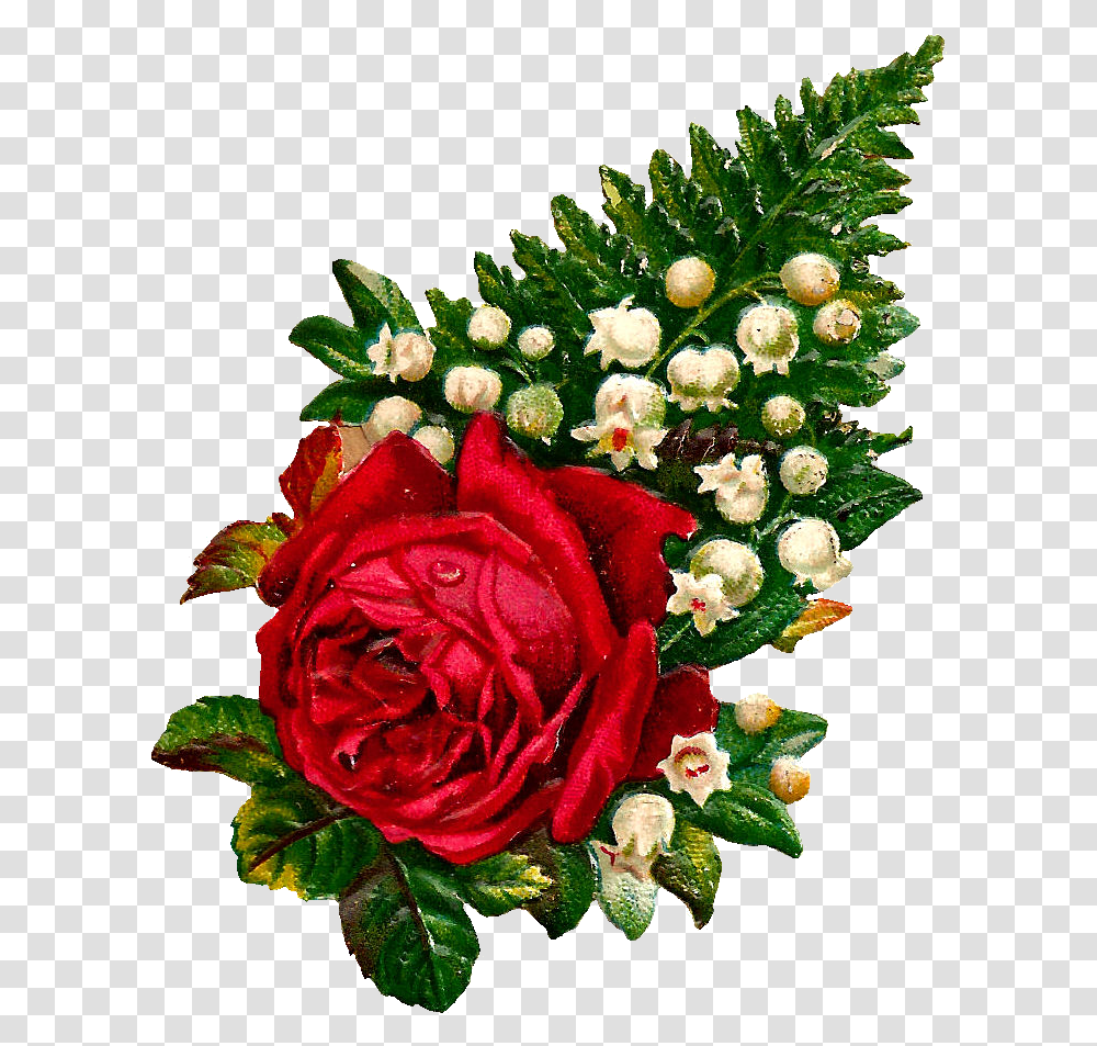 What A Beautiful Digital Red Rose Graphic I Love This, Plant, Flower, Blossom, Flower Bouquet Transparent Png