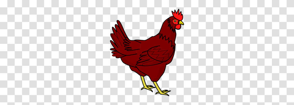 What A Long Strange Trip It Still Is The Little Red Hen Modern, Bird, Animal, Poultry, Fowl Transparent Png