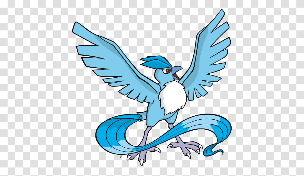 What About Articuno, Jay, Bird, Animal, Blue Jay Transparent Png