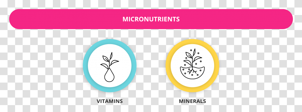 What Are Macronutrients And Micronutrients Getsmarter Blog Vertical, Label, Text, Number, Symbol Transparent Png