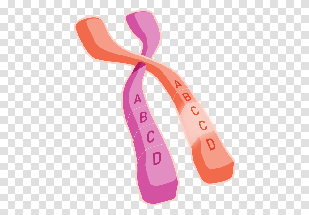 What Causes Genetic Conditions Hemdifferently Girly Transparent Png