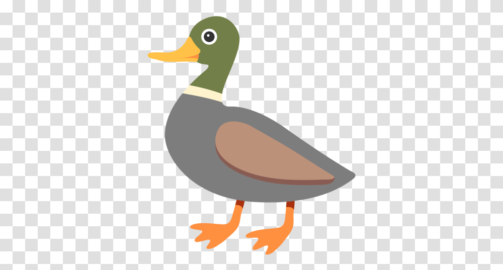 What Does Duck Emoji Mean Duck Emoji Background, Bird, Animal, Waterfowl, Hammer Transparent Png