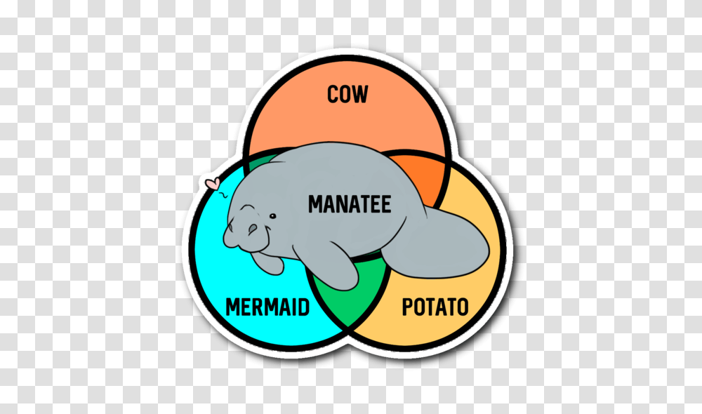 What Even Are Manatees Sticker Unlawful Threads, Animal, Mammal, Sea Life, Helmet Transparent Png