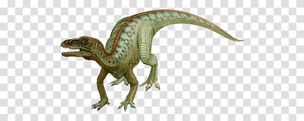 What Is A Dinosaur Dinosaurio Eoraptor, Reptile, Animal, T-Rex, Elephant Transparent Png