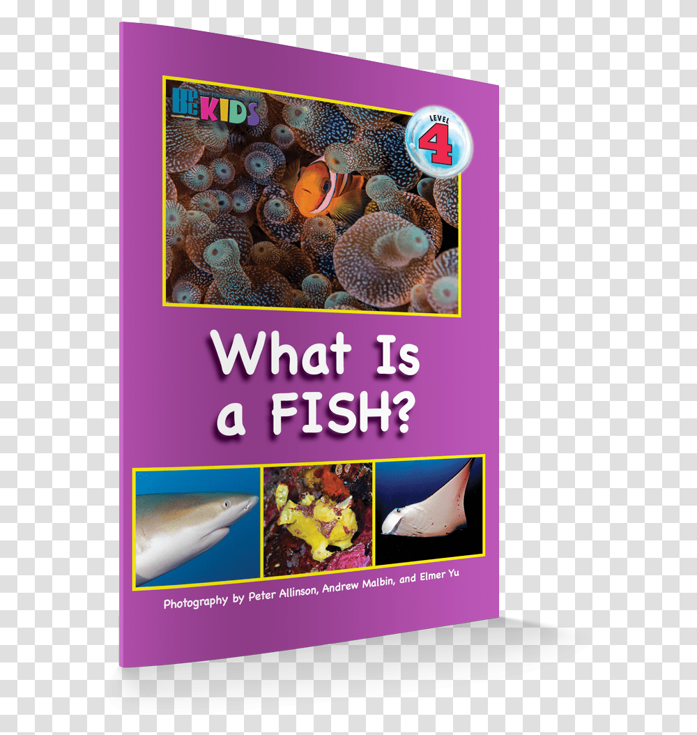 What Is A Fish Revisesd Edition 3d Cover Fish, Sea Life, Animal, Invertebrate, Poster Transparent Png