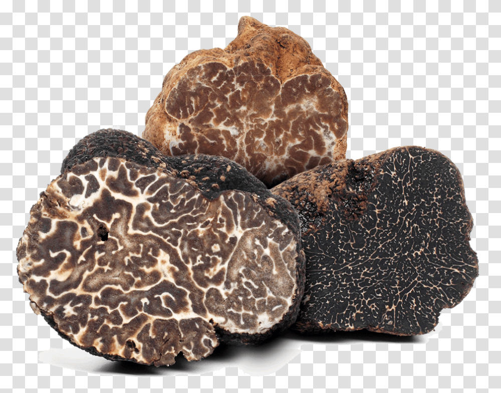 What Is A Truffle Truffle Mushrooms, Nature, Sea, Outdoors, Water Transparent Png