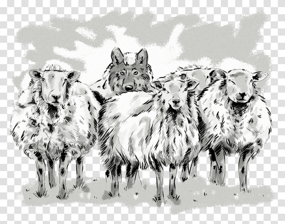 What Is Ad Fraud And How Does It Work 9 Techniques Sketch, Sheep, Mammal, Animal, Wolf Transparent Png