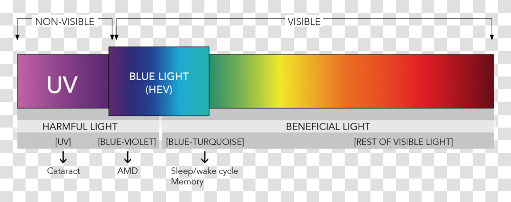 What Is Blue Light - Eyez Spectrum Of Light Blue Light, Text, Number, Symbol, Plot Transparent Png