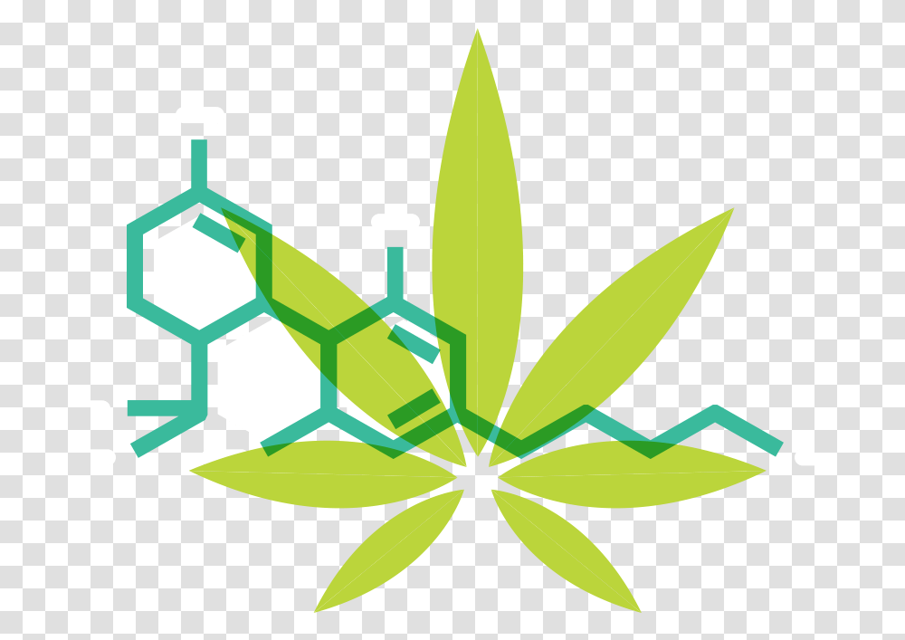 What Is Cannabis Cannabidiol, Leaf, Plant, Pattern Transparent Png