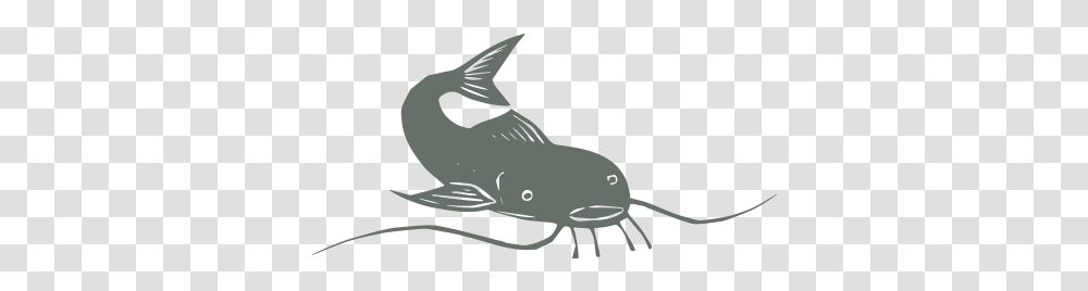 What Is Catfish Music - The Real Jimbo Mathus Incinerator Catfish Clip Art, Sea Life, Animal, Mammal, Seafood Transparent Png