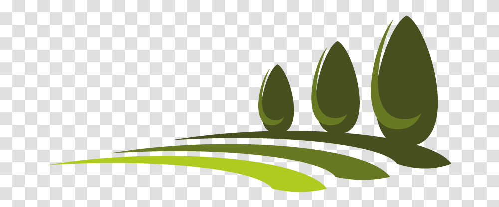What Is Lawn And Types Of Lawn Vector Graphics, Plant, Green, Floral Design Transparent Png