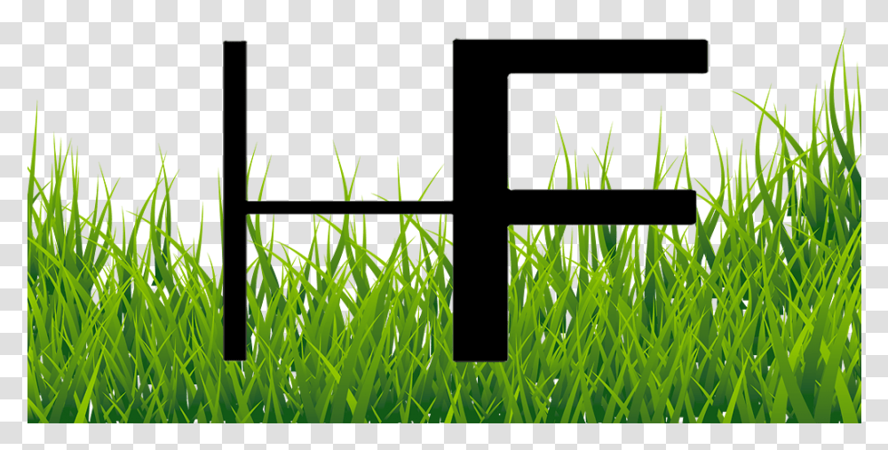 What Other Items Do Customers Buy After Viewing This Grass Images For Editing, Plant, Green, Vegetation Transparent Png