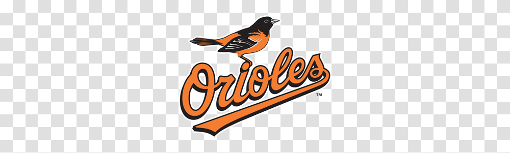 What The Baltimore Orioles And Babe Ruth Have In Common, Flyer, Poster, Paper, Advertisement Transparent Png
