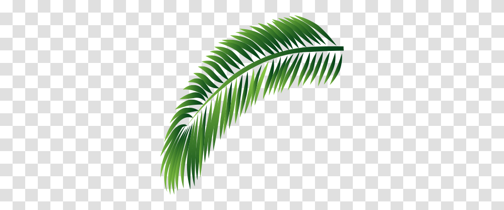 What To Do In Ocho Rios Jamaica Margaritaville Caribbean, Leaf, Plant, Green, Fern Transparent Png