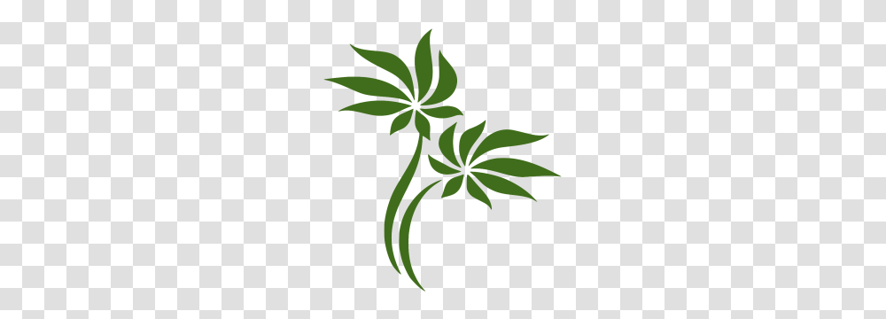 What We Do, Plant, Leaf, Pattern, Floral Design Transparent Png