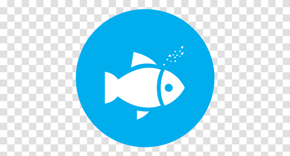 What We Give Our Fish Twitter Icon For Email Signature Fish, Animal, Sea Life, Balloon, Text Transparent Png