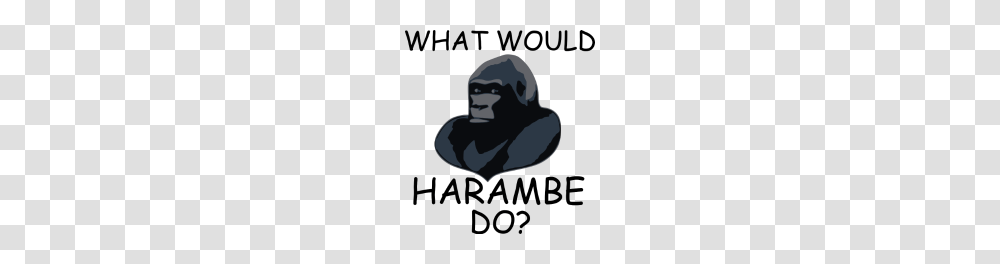 What Would Harambe Do, Ape, Wildlife, Mammal, Animal Transparent Png