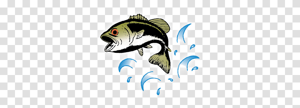 What You Fish Matters Gary Yamamoto Custom Baits, Cod, Animal, Bird, Perch Transparent Png