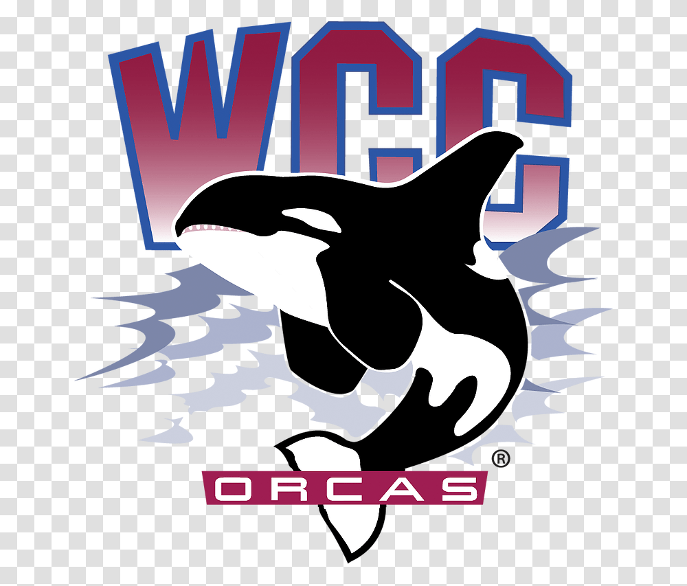 Whatcom Orcas, Poster, Advertisement, Bird, Animal Transparent Png