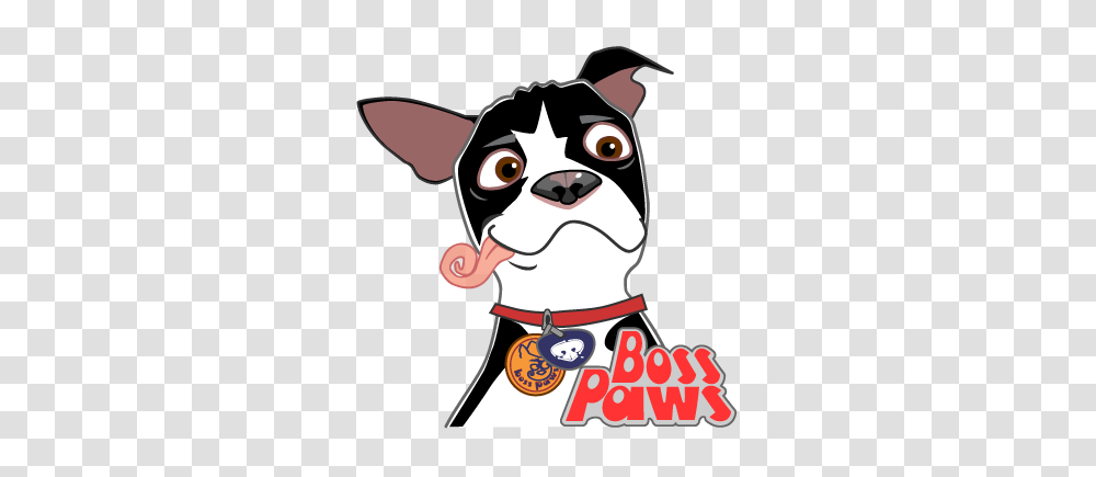 Whats The Furrd Word, Elf, Pet, Animal, Photography Transparent Png