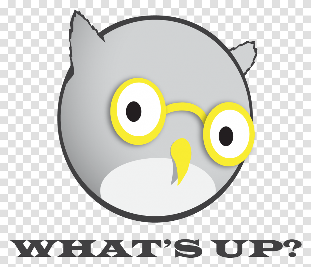 Whats Up Owl Logo Cartoon, Animal, Bird, Text, Graphics Transparent Png