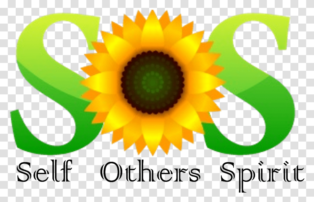 Whats Up With All These Sunflowers Sunflower, Graphics, Art, Ornament, Pattern Transparent Png