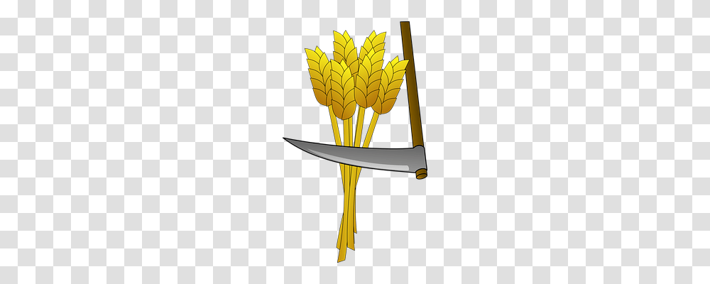 Wheat Food, Weapon, Weaponry, Vehicle Transparent Png