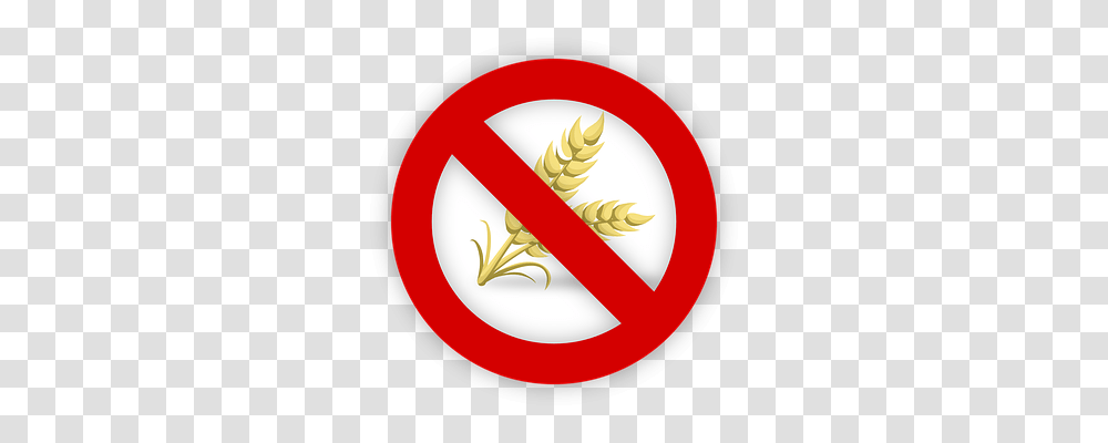 Wheat Plant, Food Transparent Png