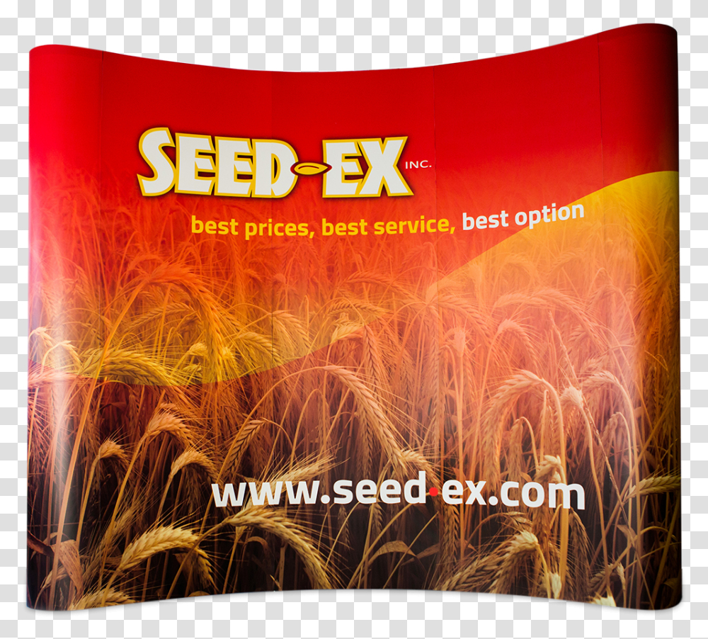 Wheat, Advertisement, Poster, Flyer, Paper Transparent Png