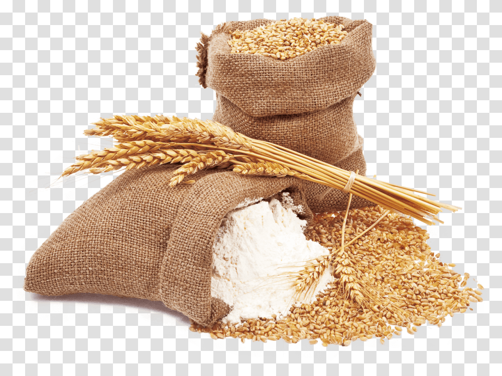 Wheat And Wheat Flour Wheat Flour, Plant, Bird, Animal, Sack Transparent Png