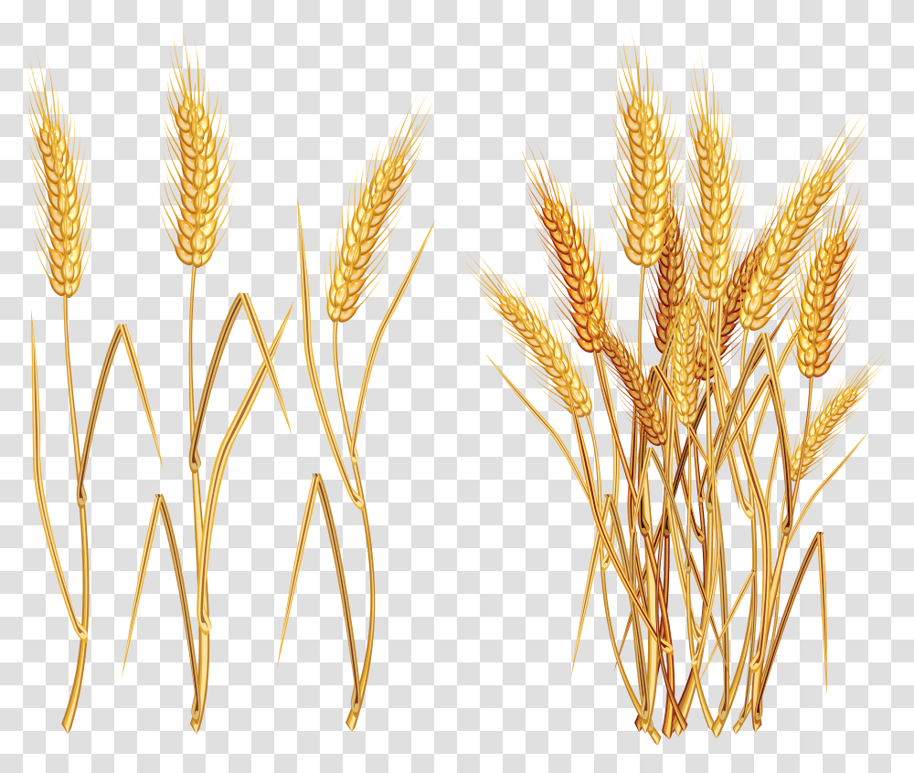 Wheat Background, Plant, Construction Crane, Text, Food Transparent Png