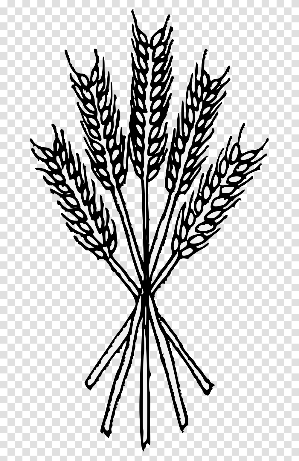 Wheat Black And White, Plant, Food, Leaf, Stencil Transparent Png