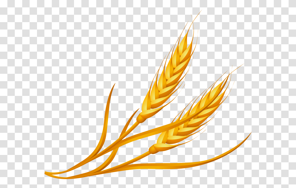 Wheat Clipart Image Free Download Searchpng Cartoon Wheat, Plant, Vegetable, Food, Vegetation Transparent Png