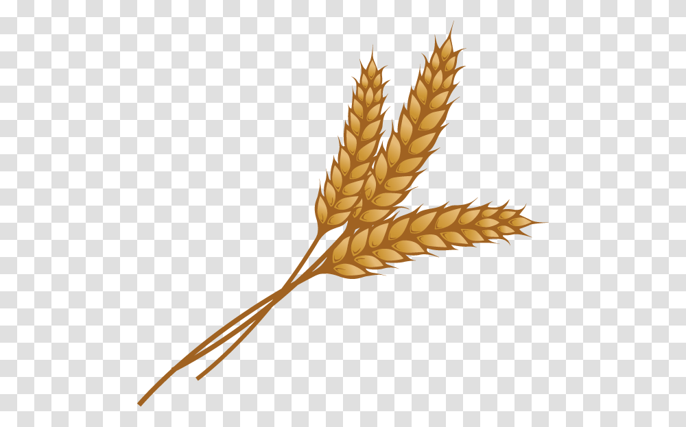 Wheat Clipart Nice Clip Art, Plant, Vegetable, Food, Bird Transparent Png