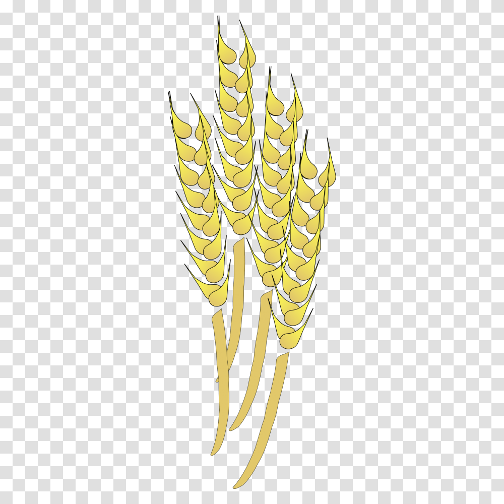 Wheat Clipart, Plant, Vegetable, Food, Produce Transparent Png