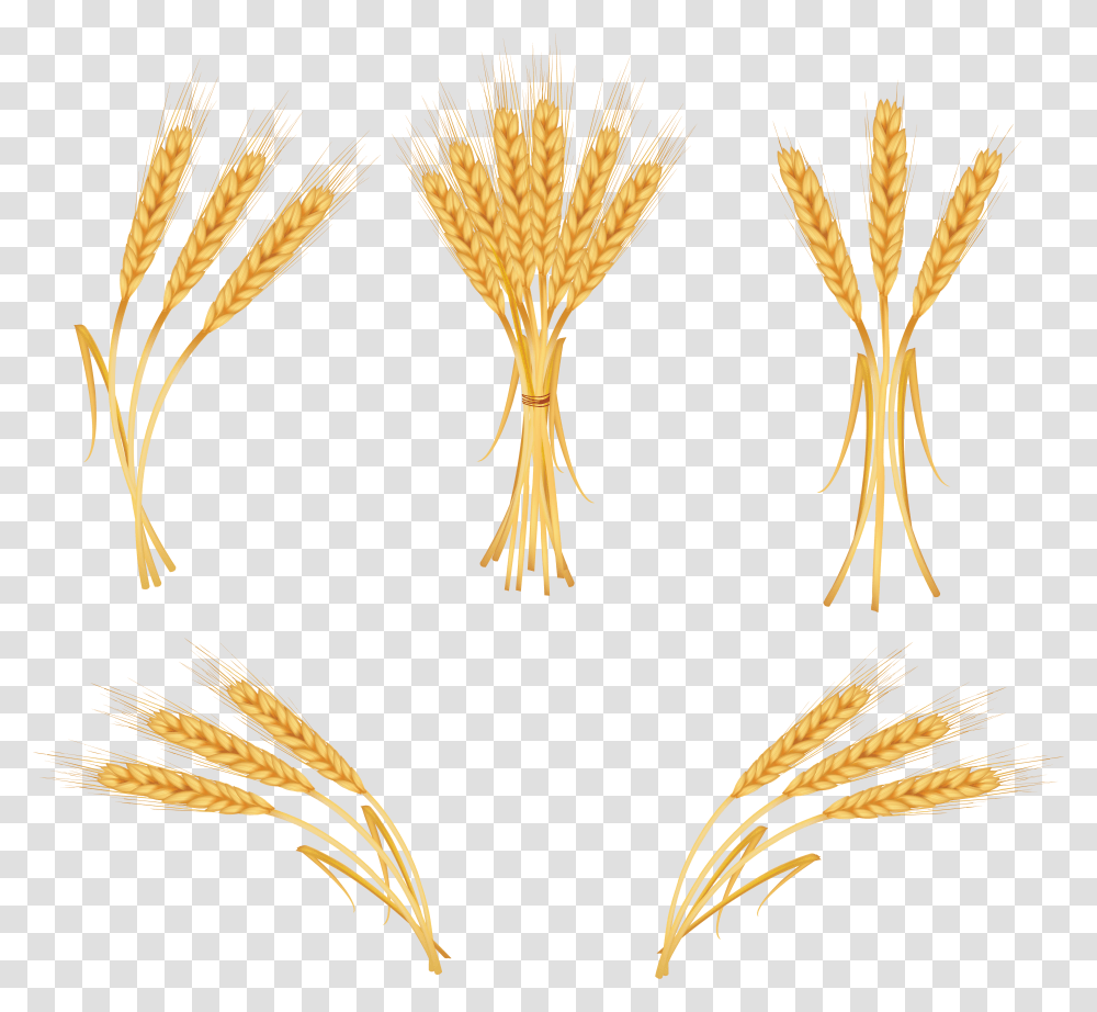 Wheat Clipart Transparent Png