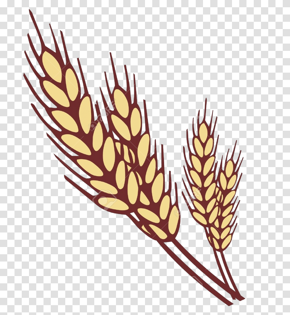 Wheat Collection Of Clipart Images In Ear Of Wheat Clipart, Plant, Vegetable, Food, Grain Transparent Png