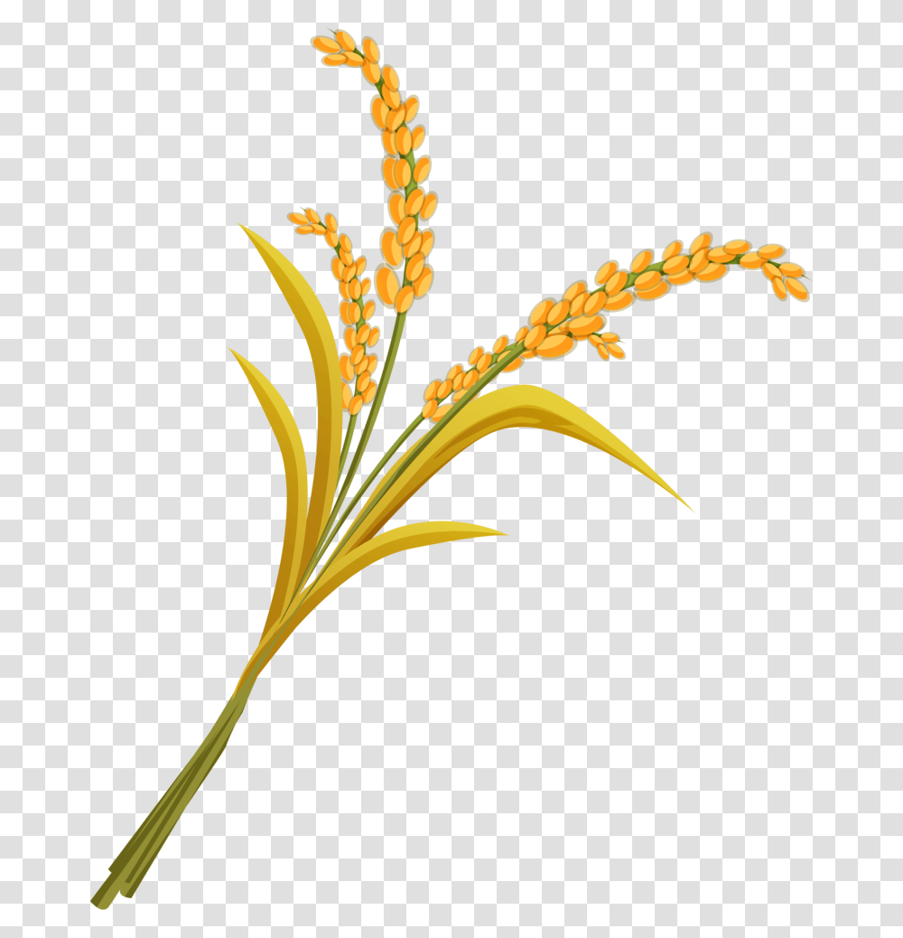 Wheat Download Image With Background Clip Art, Plant, Flower, Anther, Tree Transparent Png
