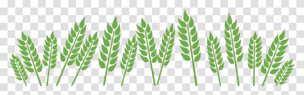 Wheat Field Fields Clipart Black And White, Leaf, Plant, Fern Transparent Png